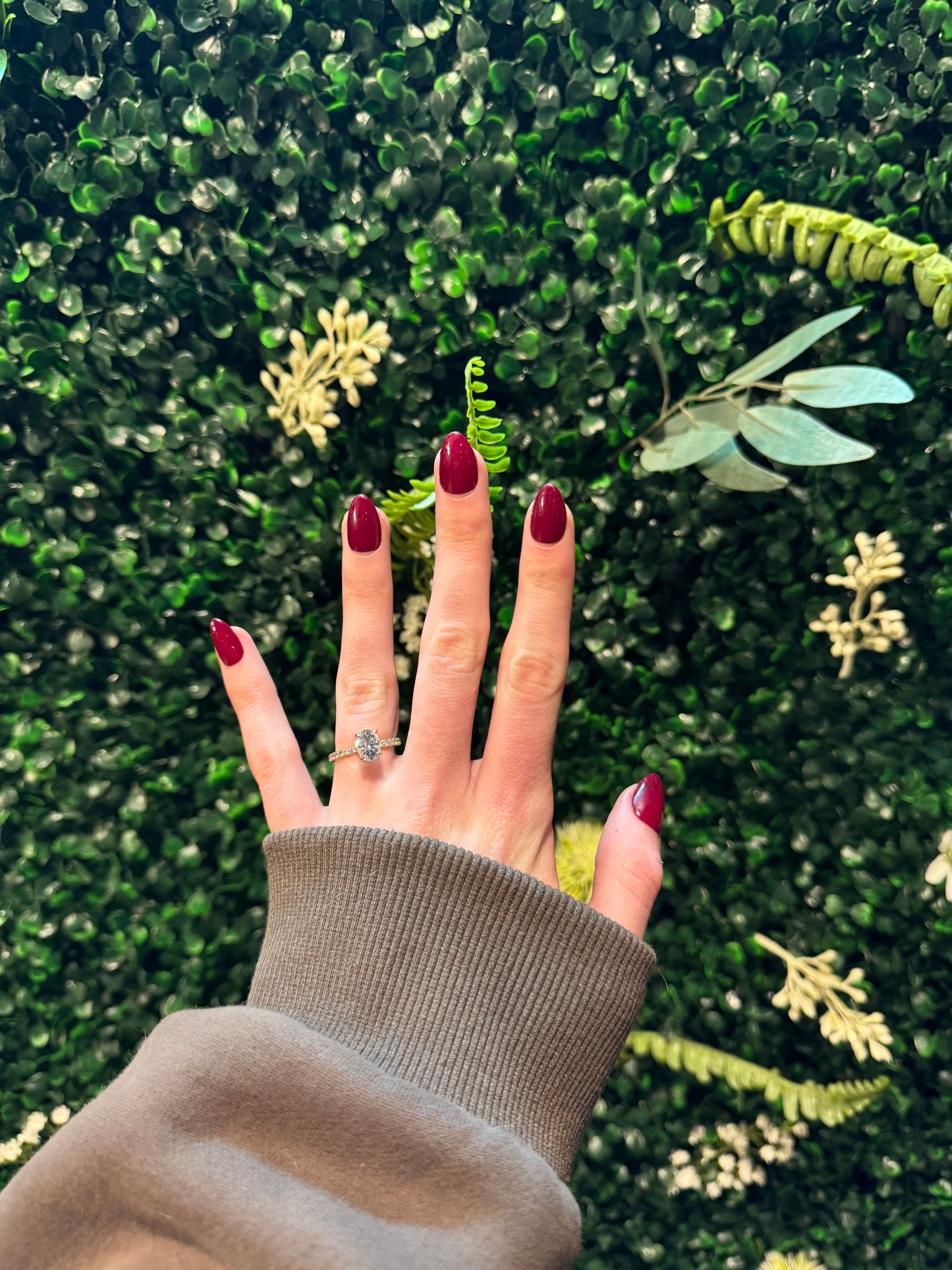 Solid Color Set